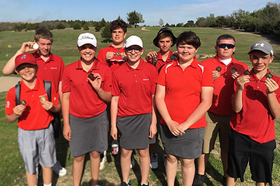 WMS Golf